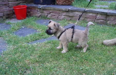 a_Arnold_geht_aus_02