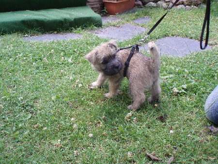 a_August_vor_dem_Ausgang_01