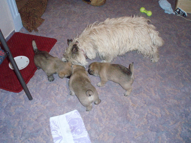 a_Futtern_mit_Muttern_01