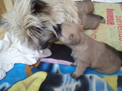 a_Spielen_mit_Mutti_0A