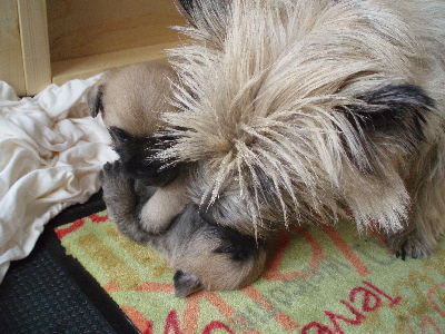 a_Spielen_mit_Mutti_0B