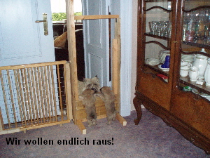 a_wir_wollen_raus_01