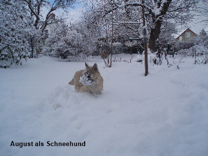 A im Schnee 01