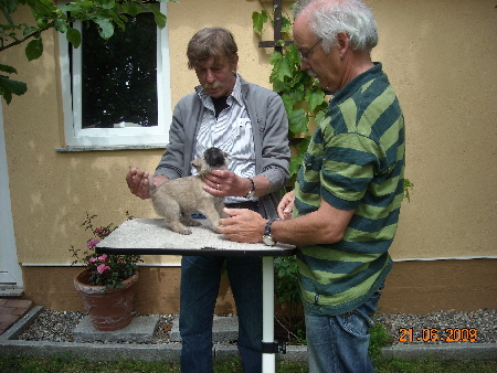 Alvin beim Zuchtwart