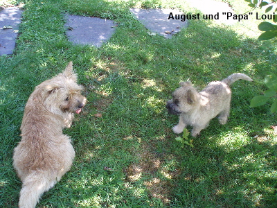 August und Loui 01 zB