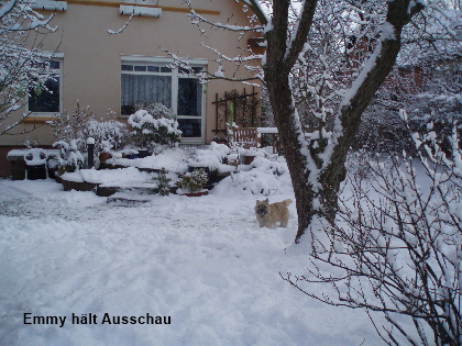 E im Schnee 01