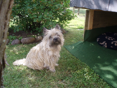 Emmy immer noch gut drauf 02