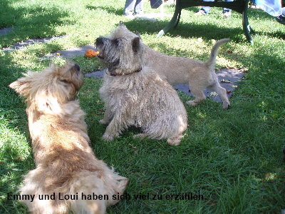Loui und Emmy 03 zB