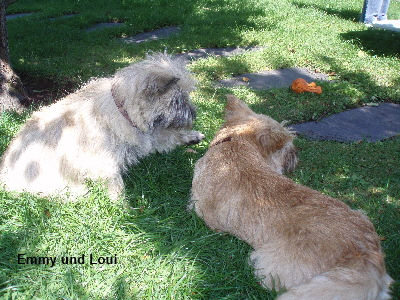 Loui und Emmy vertraut 01 zB