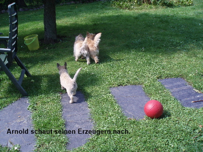 Loui und Emmy vertraut 03 zB
