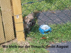 Wo bleibt den der Besuch